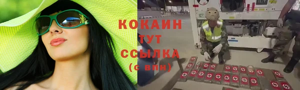 прущий лед Липки