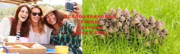 наркотики Лиски