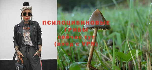 прущий лед Лихославль